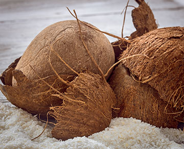 UBA-Dry-Coconut-P3.jpg